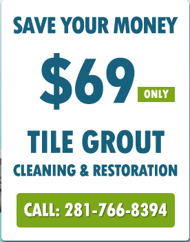 Tile Grout Cleaning Webster TX